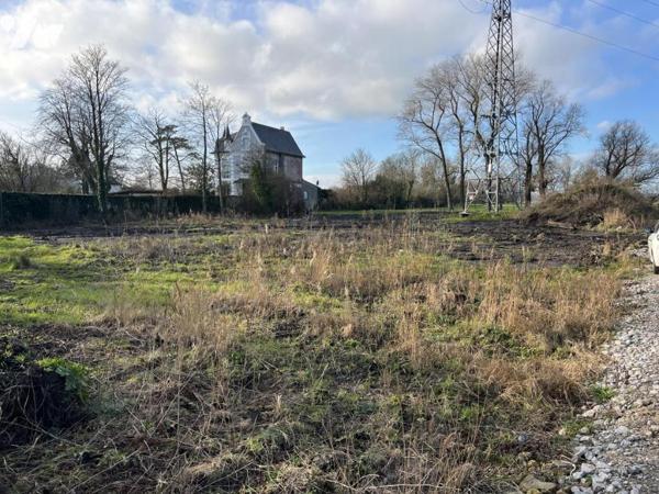 Vente Terrain à bâtir à Coulogne