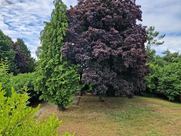 Maison à vendre à Vern-sur-Seiche en Ille-et-Vilaine (35770), ref : M1