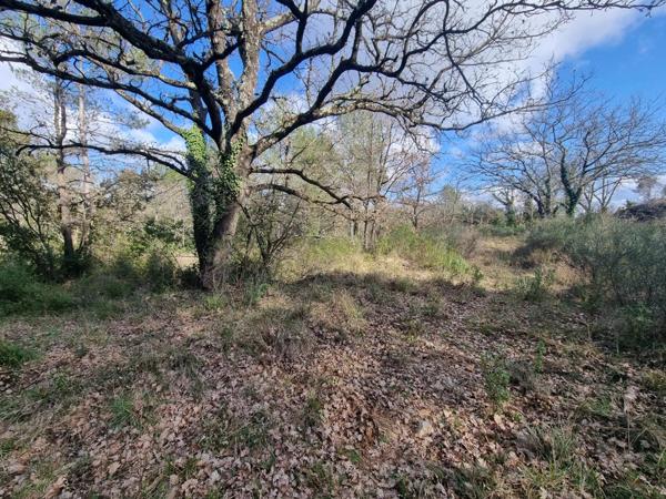 Vente Terrain 9951 m2 à Le Luc