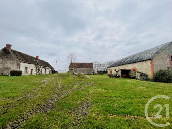 Maison à vendre  4 pièces - 77 m 2   LORRIS  - 45