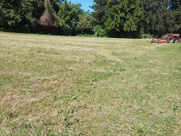 Terrain plat constructible de 1834m² à Donzère 125 500 HAI