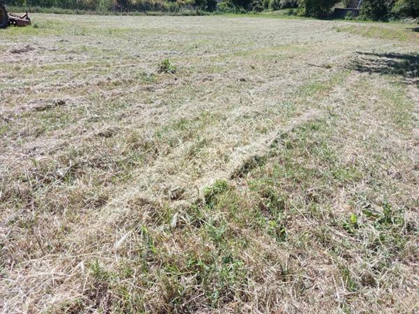 Terrain plat constructible de 1834m² à Donzère 125 500 HAI