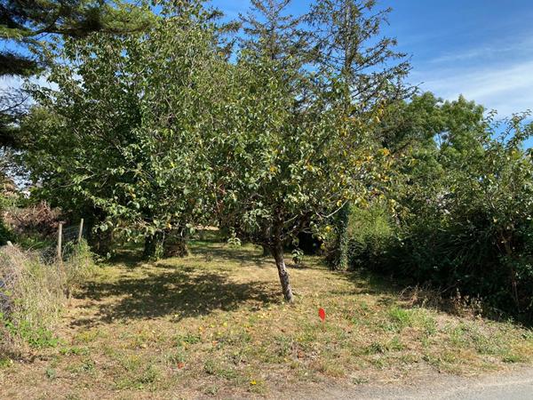 Terrain Longeville Sur Mer 617 m2