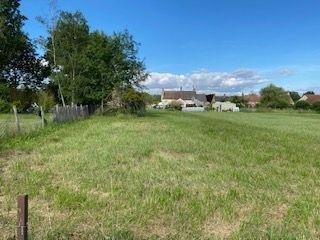 Terrain de loisirs - Bois - Etangs à vendre à Vendoeuvres dans l'Indre (36500), ref : 1044059