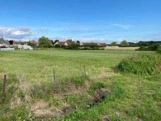 Terrain de loisirs - Bois - Etangs à vendre à Vendoeuvres dans l'Indre (36500), ref : 1044059
