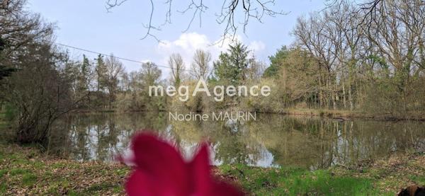 Maison à MUR-DE-SOLOGNE, 41230 - 8 pièces 224m²