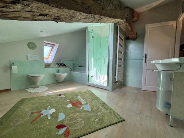 Charmante ferme rénovée avec piscine et dépendances – Proche Montaigu-de-Quercy, Tarn-et-Garonne