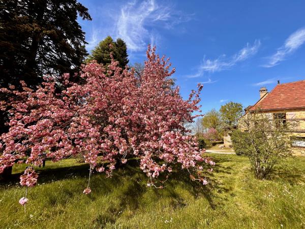 Maison avec piscine, maison d'amis et 1,6 hectare à pied du centre de Gourdon