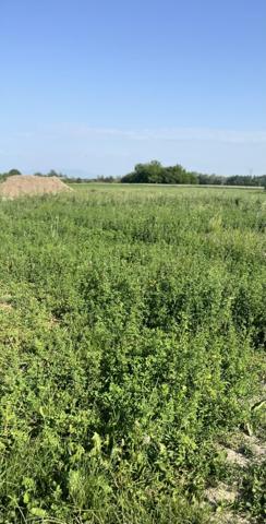 Vente / Terrain constructible