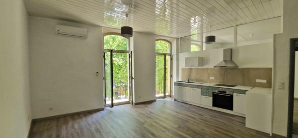 GRAND APPARTEMENT RENOVE - LUMINEUX - BALCON