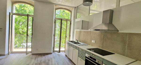GRAND APPARTEMENT RENOVE - LUMINEUX - BALCON