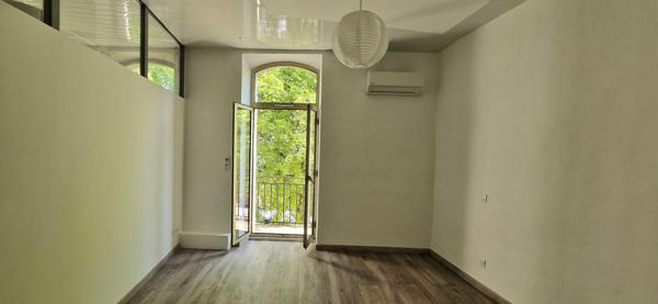 GRAND APPARTEMENT RENOVE - LUMINEUX - BALCON