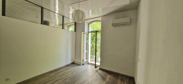 GRAND APPARTEMENT RENOVE - LUMINEUX - BALCON