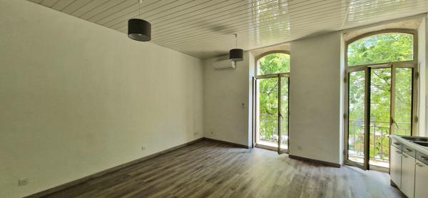 GRAND APPARTEMENT RENOVE - LUMINEUX - BALCON