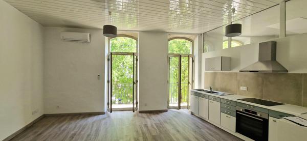 GRAND APPARTEMENT RENOVE - LUMINEUX - BALCON