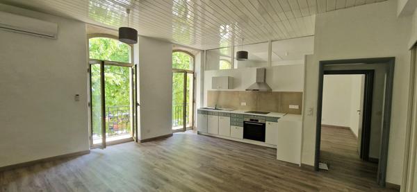 GRAND APPARTEMENT RENOVE - LUMINEUX - BALCON