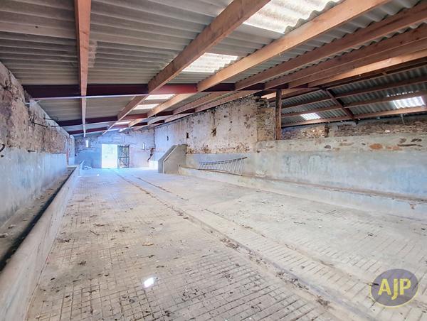 Maison à vendre Vieillevigne - 3 pièces, 300m² avec 0 chambre(s) à 127 000€ - AJP Immobilier Vieillevigne