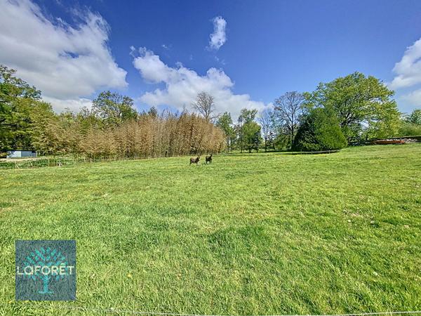 Achat local commercial Châtillon-en-Vendelais - 161 m² - 226 000 €