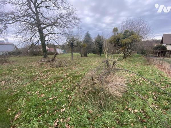 COURTENAY 45320 - TROIS TERRAINS A BATIR
