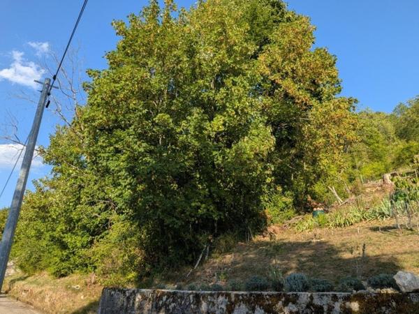 TERRAIN CONSTRUCTIBLE DE 2052 m² – CENTRE-VILLE DE SALINS-LES-BAINS – VUE DÉGAGÉE