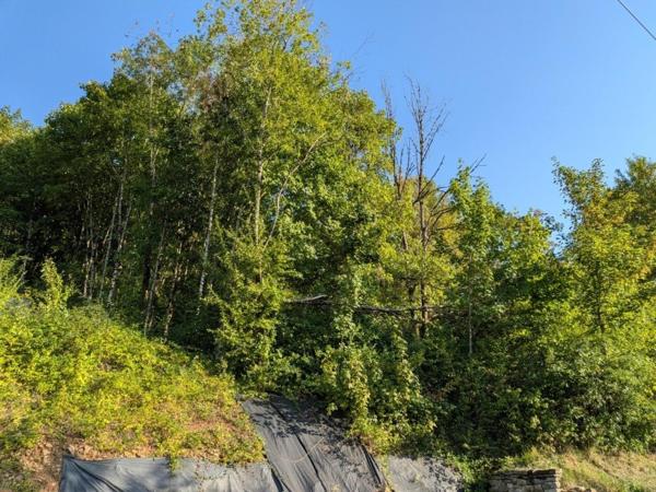 TERRAIN CONSTRUCTIBLE DE 2052 m² – CENTRE-VILLE DE SALINS-LES-BAINS – VUE DÉGAGÉE