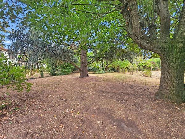 Auzeville-Tolosane - Maison familiale 120 m² avec 4 chambres, bureau et terrain arboré de 1 500 m²