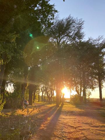 Deux maisons avec parc de 6910m²  vu Saône