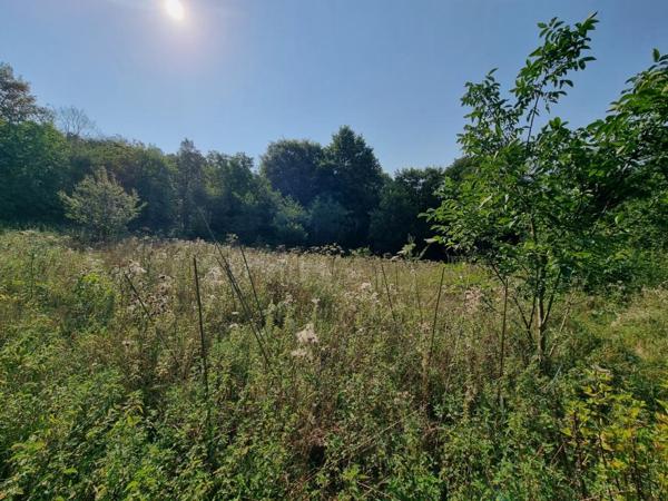 Maison Origny En Thierache 4 pièce(s) 80 m2