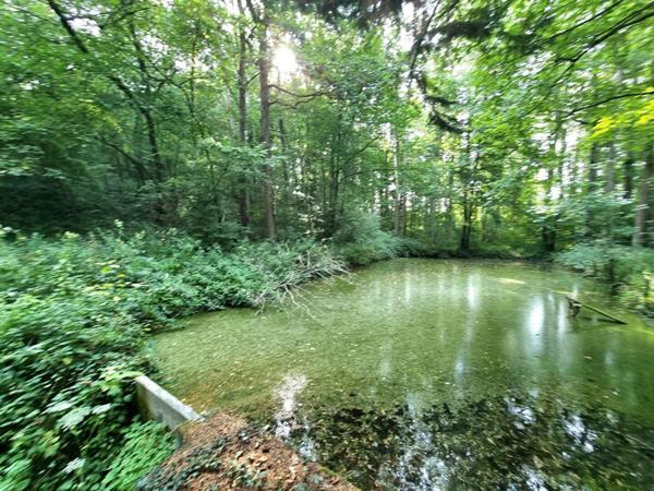 Maison Origny En Thierache 4 pièce(s) 80 m2