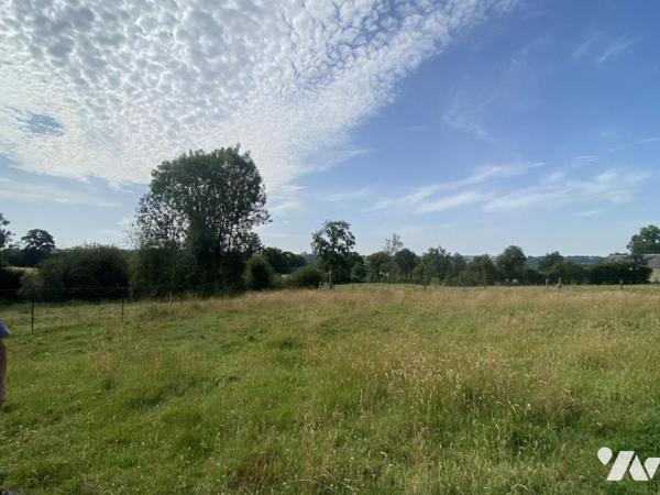 MAISON avec BATIMENTS ET TERRAIN