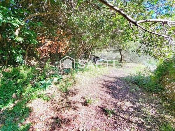 Ancienne bâtisse en pierre T5