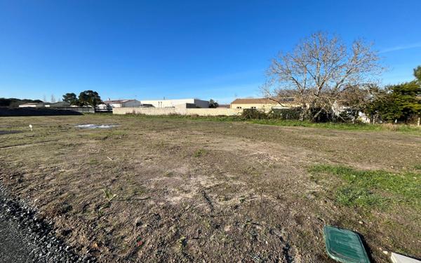 Terrain à vendre    Arvert