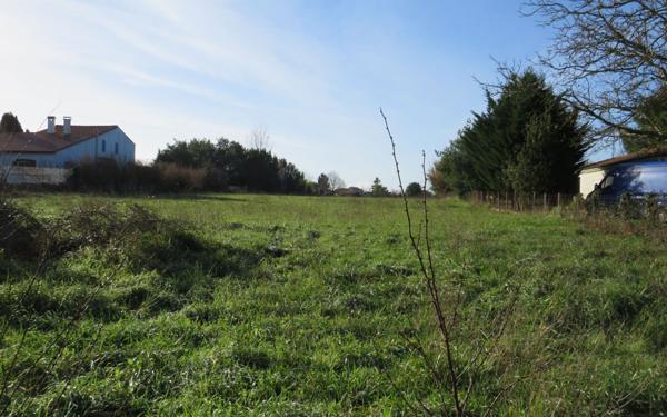 Terrain à vendre    Arvert