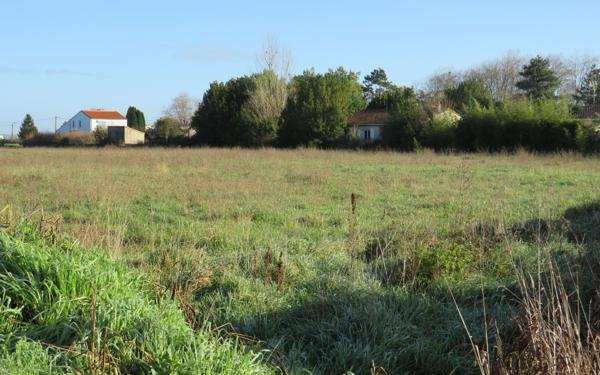 Terrain à vendre    Arvert
