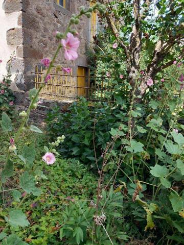 Maison à restaurer à vendre à Valuéjols dans le Cantal (15300), ref : BM/2061