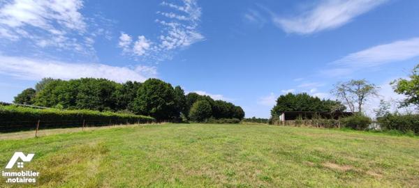 Parcelle de terrain constructible