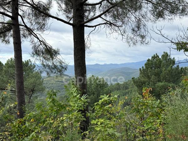 Maison à vendre 3 pièces 72m2 terrain environ 5 Ha ½