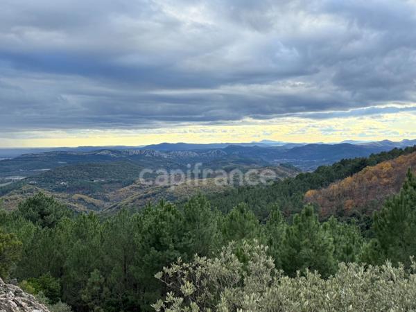 Maison à vendre 3 pièces 72m2 terrain environ 5 Ha ½