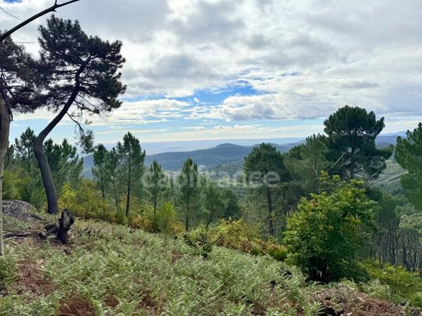 Maison à vendre 3 pièces 72m2 terrain environ 5 Ha ½