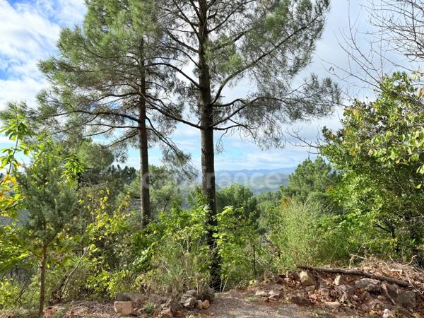 Maison à vendre 3 pièces 72m2 terrain environ 5 Ha ½