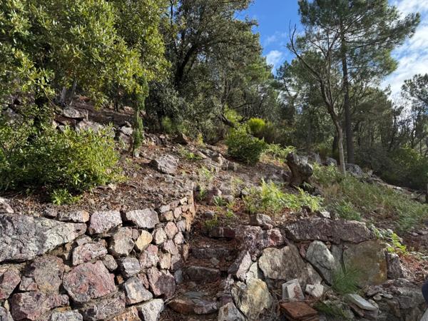 Maison à vendre 3 pièces 72m2 terrain environ 5 Ha ½