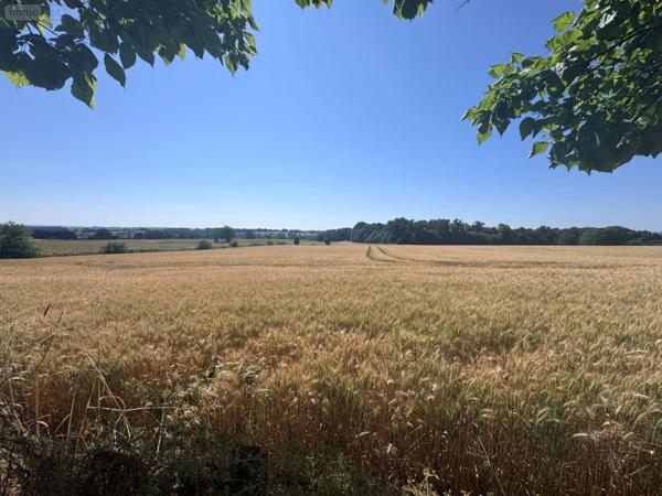 Maison à vendre à Séreilhac en Haute-Vienne (87620), ref : 87006/1247