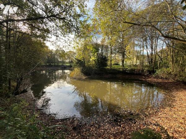 COUERON - MAISON AVEC ETANG SUR TERRAIN de plus d'1 Hectare 