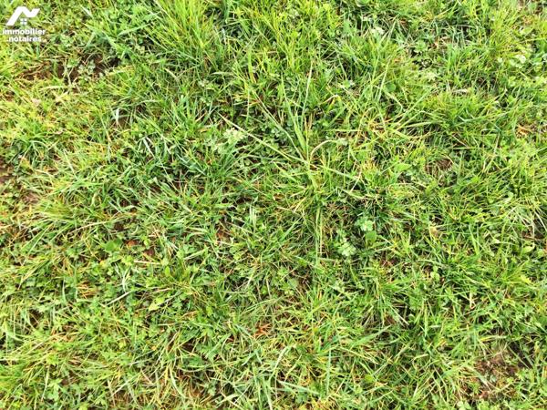 Proche de toutes les commodités un terrain à bâtir viabilisé d'une belle superficie de 17a22ca