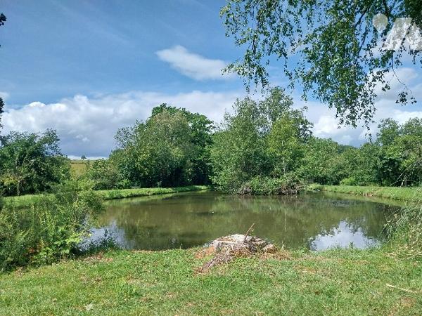 A VENDRE,  LE GENEST-SAINT-ISLE !