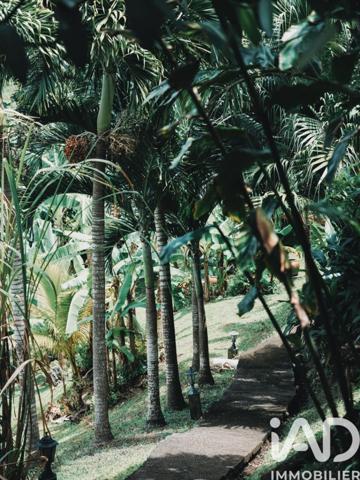 Maison à vendre 6 pièces 200 m² Le Vauclin