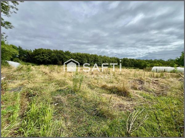 Maison de 153m² avec exploitation de fraises/ framboises ( clients professionnels et particuliers).