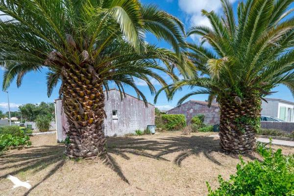 Maison à vendre |                                       Saint-Pierre-d'Oléron |                                        4 pièces  |  85 m²