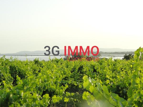 Vente murs / Local Commercial à Villeneuve-lès-Maguelone (34750)