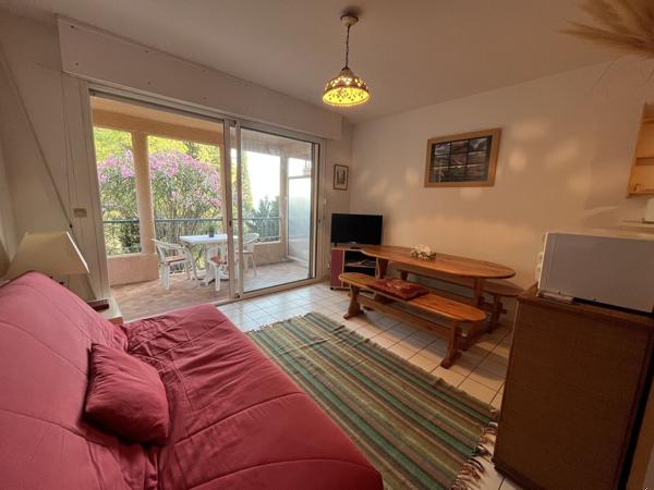 T2 34m² Collioure avec terrasse + parking